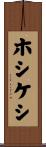 ホシケシ Scroll