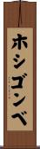 ホシゴンベ Scroll