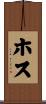 ホス Scroll