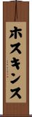 ホスキンス Scroll