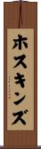 Hoskins Scroll