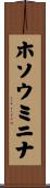 ホソウミニナ Scroll