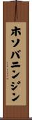ホソバニンジン Scroll
