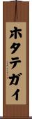 ホタテガイ Scroll