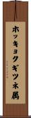 ホッキョクギツネ属 Scroll