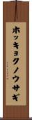 ホッキョクノウサギ Scroll