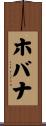 ホバナ Scroll