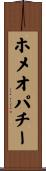 ホメオパチー Scroll