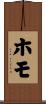 ホモ Scroll
