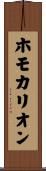 ホモカリオン Scroll