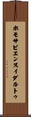 ホモサピエンスイダルトゥ Scroll