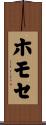 ホモセ Scroll