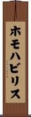ホモ・ハビリス Scroll