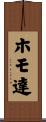 ホモ達 Scroll