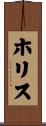 ホリス Scroll