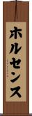 ホルセンス Scroll