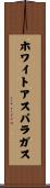 ホワイトアスパラガス Scroll