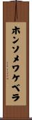 ホンソメワケベラ Scroll