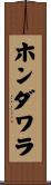 ホンダワラ Scroll