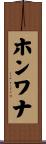 ホンワナ Scroll