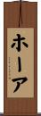 ホーア Scroll