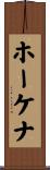 ホーケナ Scroll