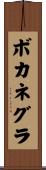 Bocanegra Scroll