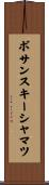 ボサンスキーシャマツ Scroll