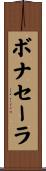 ボナセーラ Scroll