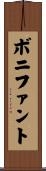 ボニファント Scroll