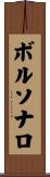 ボルソナロ Scroll