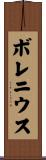 ボレニウス Scroll