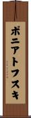 ポニアトフスキ Scroll