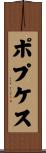 ポプケス Scroll