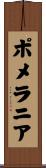 ポメラニア Scroll