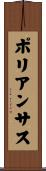 ポリアンサス Scroll