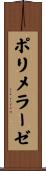 ポリメラーゼ Scroll