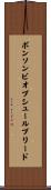 ポンソンビオブシュールブリード Scroll