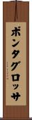 ポンタグロッサ Scroll