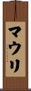 マウリ Scroll