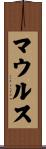 マウルス Scroll
