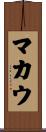 マカウ Scroll