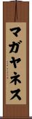 マガヤネス Scroll