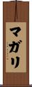 マガリ Scroll
