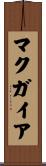 マクガイア Scroll