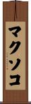 マクソコ Scroll