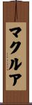 マクルア Scroll