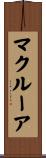 マクルーア Scroll