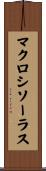 マクロシソーラス Scroll