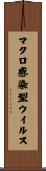 マクロ感染型ウイルス Scroll